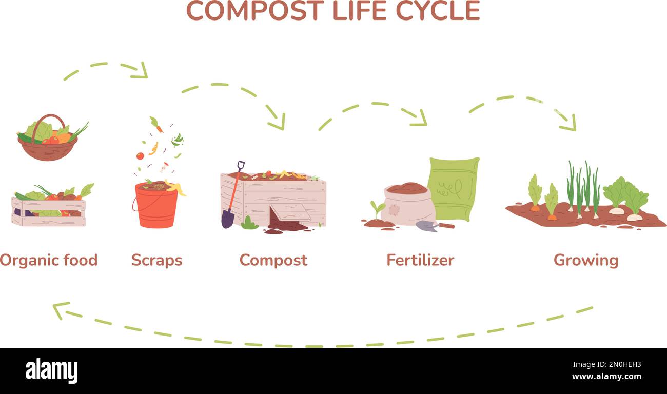 Compost cycle. Farm garden composting process, biology recycle organic food in agriculture box, biodegradable waste natural scrap bin conservation vector illustration of compost agriculture organic Stock Vector