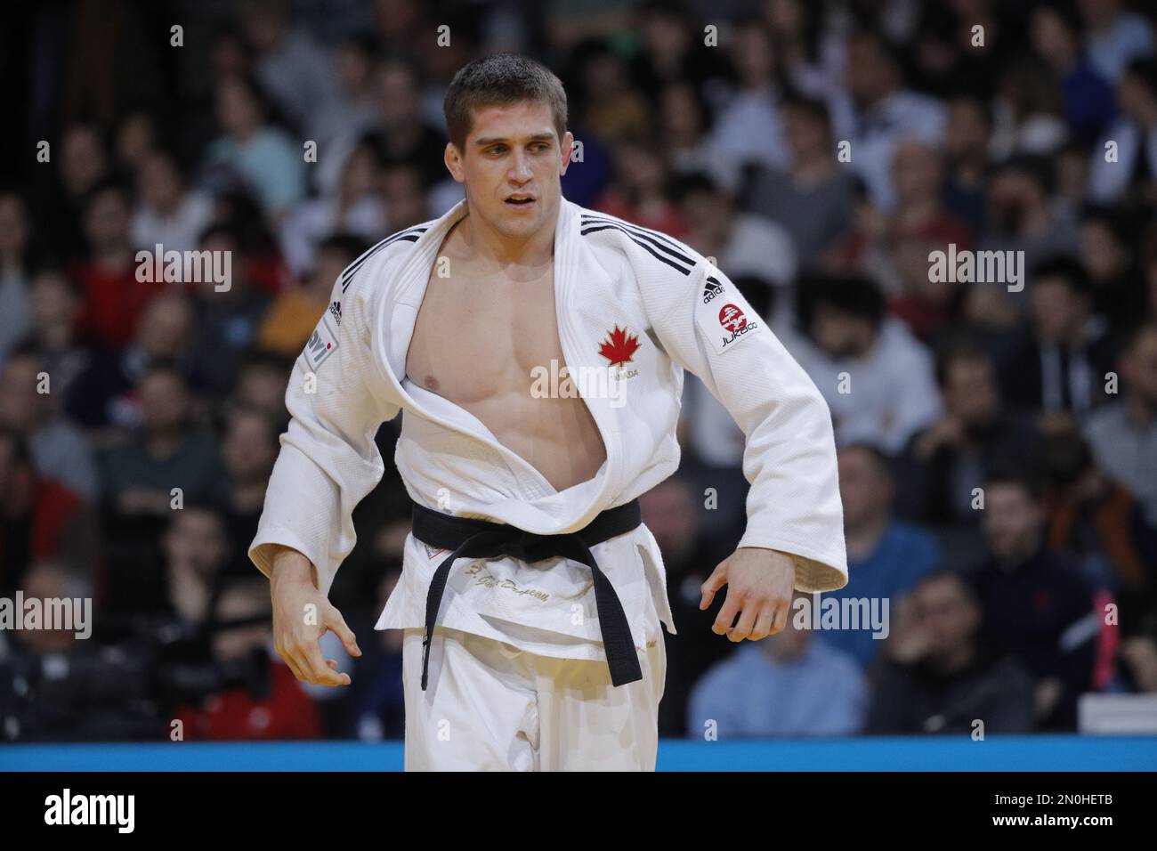 Willos Tries Judo with Olympic Athlete François Gauthier-Drapeau Willos Tries Judo with Olympic Athlete François Gauthier-Drapeau
