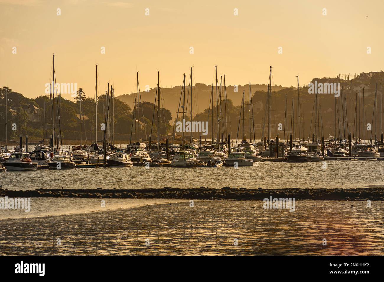 Colourful summer sunrise in the marina at Owenabue river estuary with anchored sailing boats. Crosshaven, co. Cork, Ireland Stock Photo