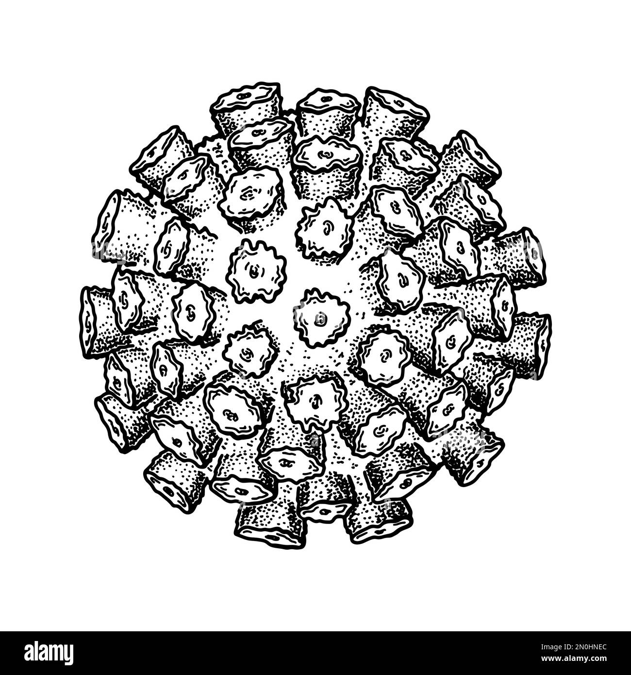 Norovirus isolated on white background. Hand drawn realistic detailed scientifical vector illustration in sketch style Stock Vector