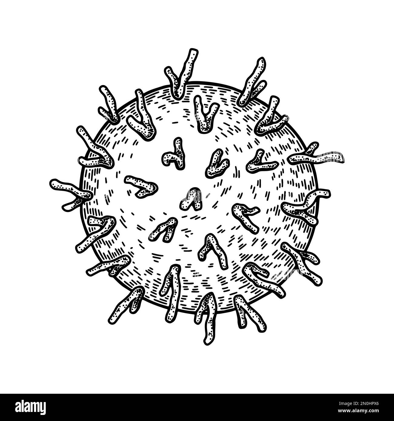 Hand drawn rhinovirus isolated on white background. Realistic detailed scientifical vector illustration in sketch style Stock Vector