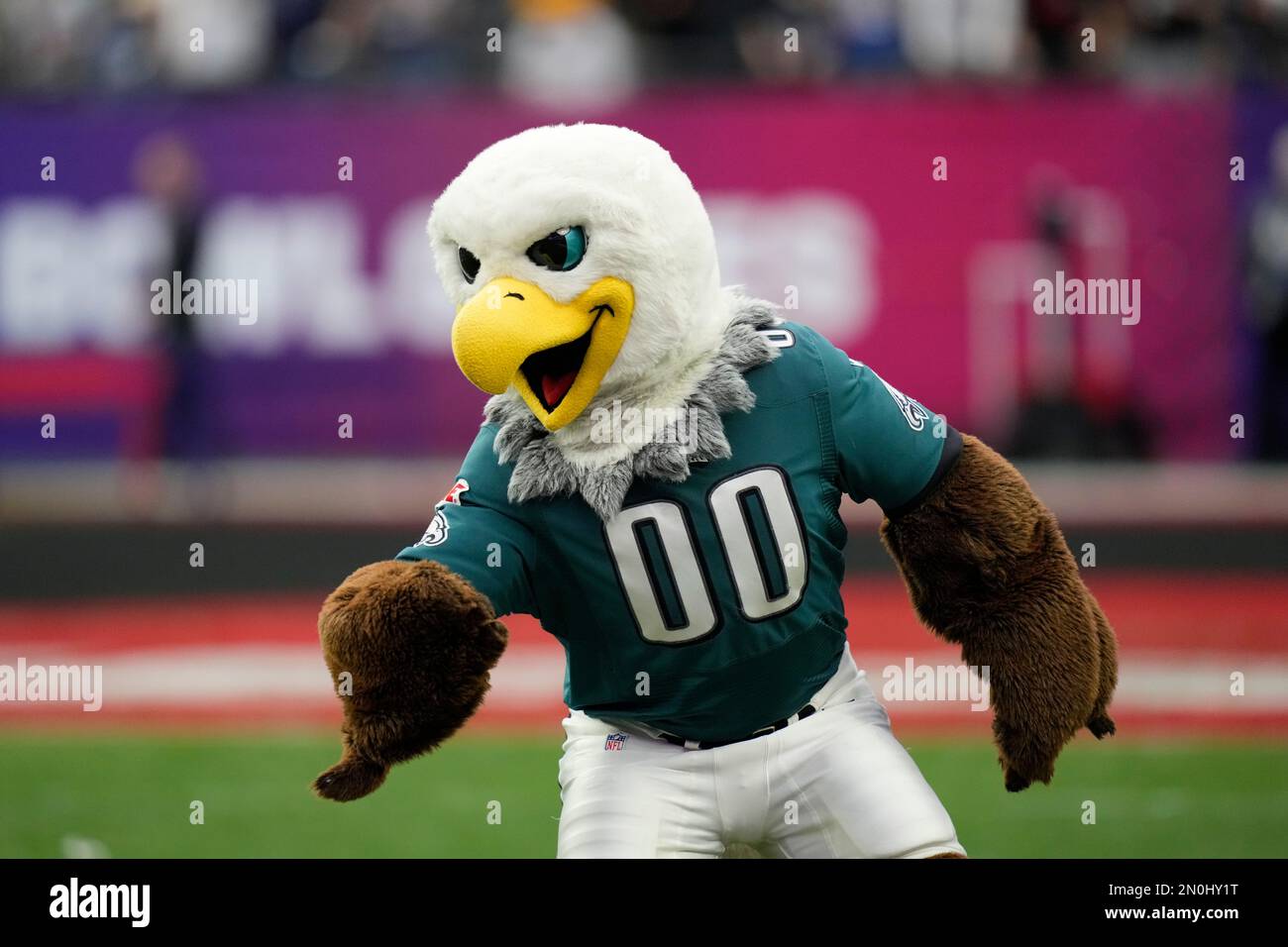 The Philadelphia Eagles mascot Swoop performs during the flag football  event at the NFL Pro Bowl, Sunday, Feb. 5, 2023, in Las Vegas. (AP  Photo/John Locher Stock Photo - Alamy