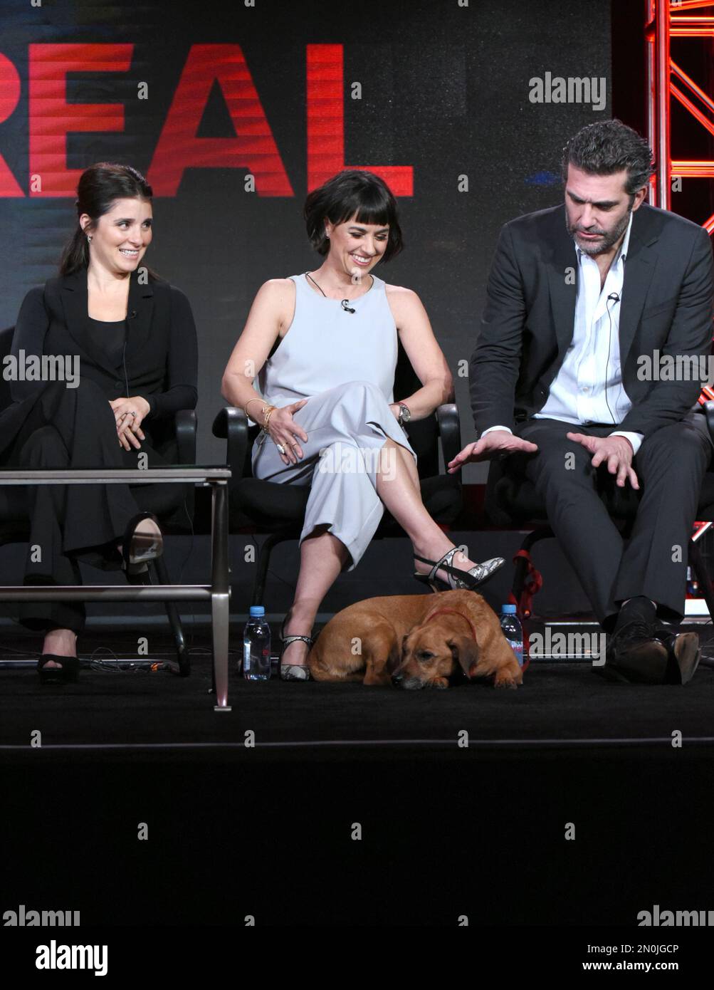 Shiri Appleby, from left, Constance Zimmer and Craig Bierko speak(01)