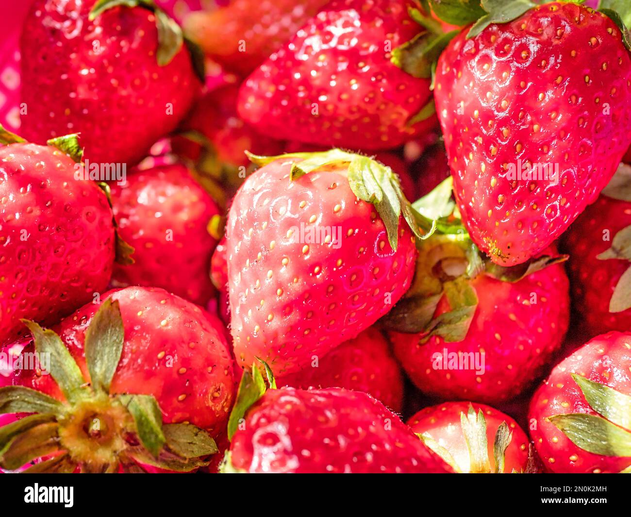 many red ripe strawberries with green stalks - background Stock Photo ...