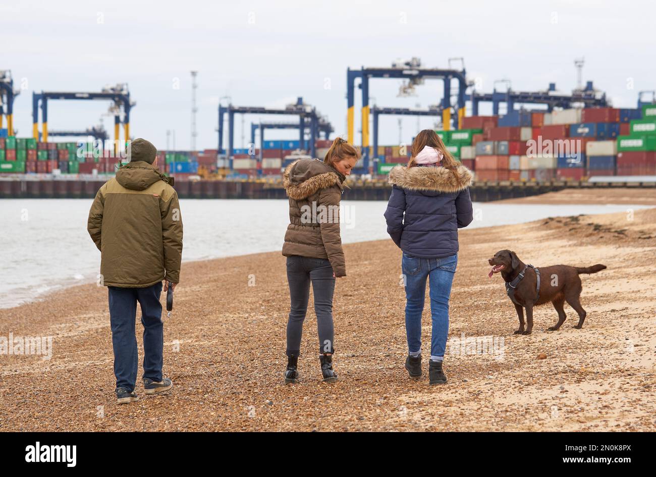 Coastal dog on sale walkers