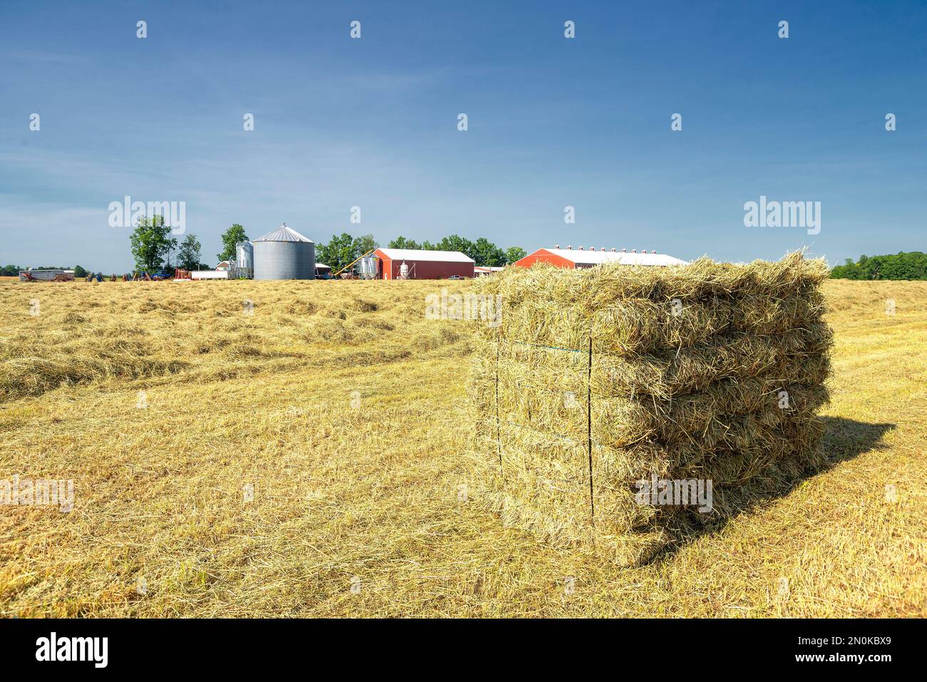 Baling & Stacking Hay. Farmington, New York. Ontario County. Stock Photo