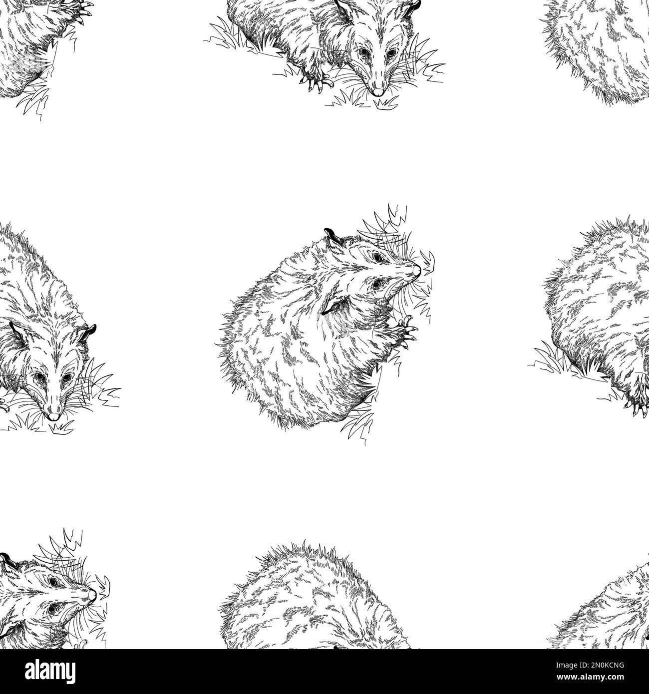 Seamless pattern of hand drawn sketch style Opossums isolated on white background. Vector illustration. Stock Vector