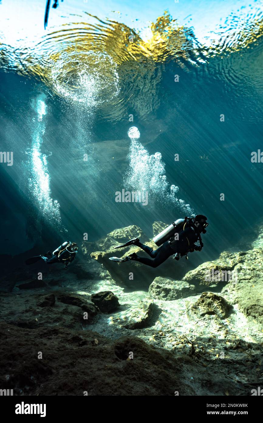 Scuba divers at Casa Cenote (Tulum - Mexico) Stock Photo