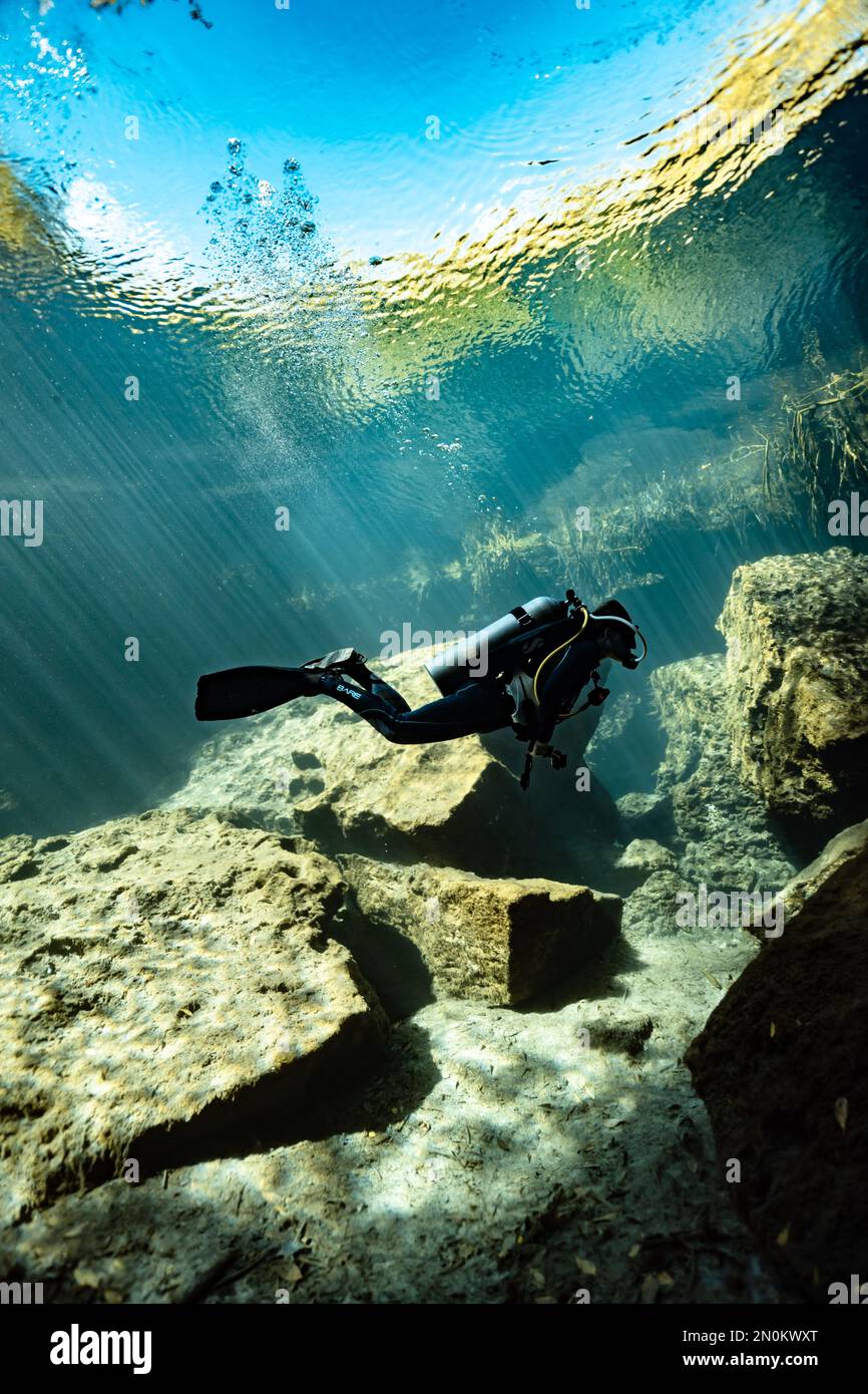 Scuba diver at Casa Cenote (Tulum - Mexico) Stock Photo
