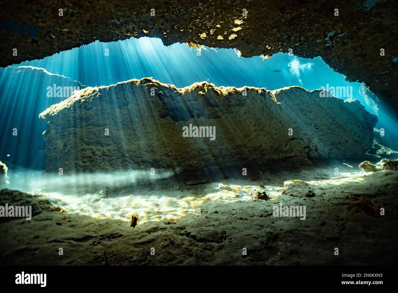 Entrance to the underwater cave system Sac Actun at Casa Cenote (Tulum Mexico Stock Photo Alamy
