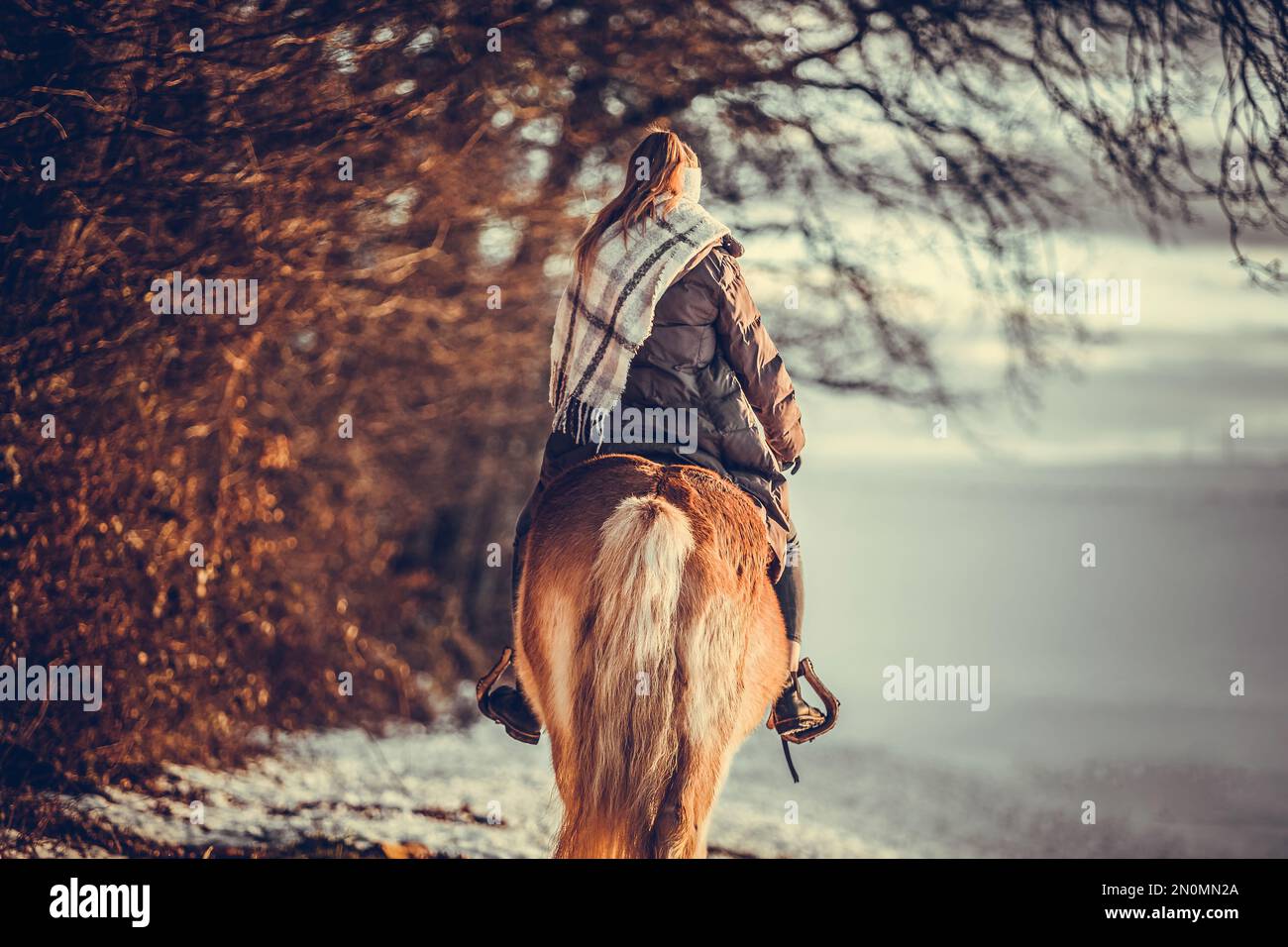 A young equestrian teenage girl rides on her haflinger horse through the snow in the evening during sundown in front of a snowy rural winter landscape Stock Photo