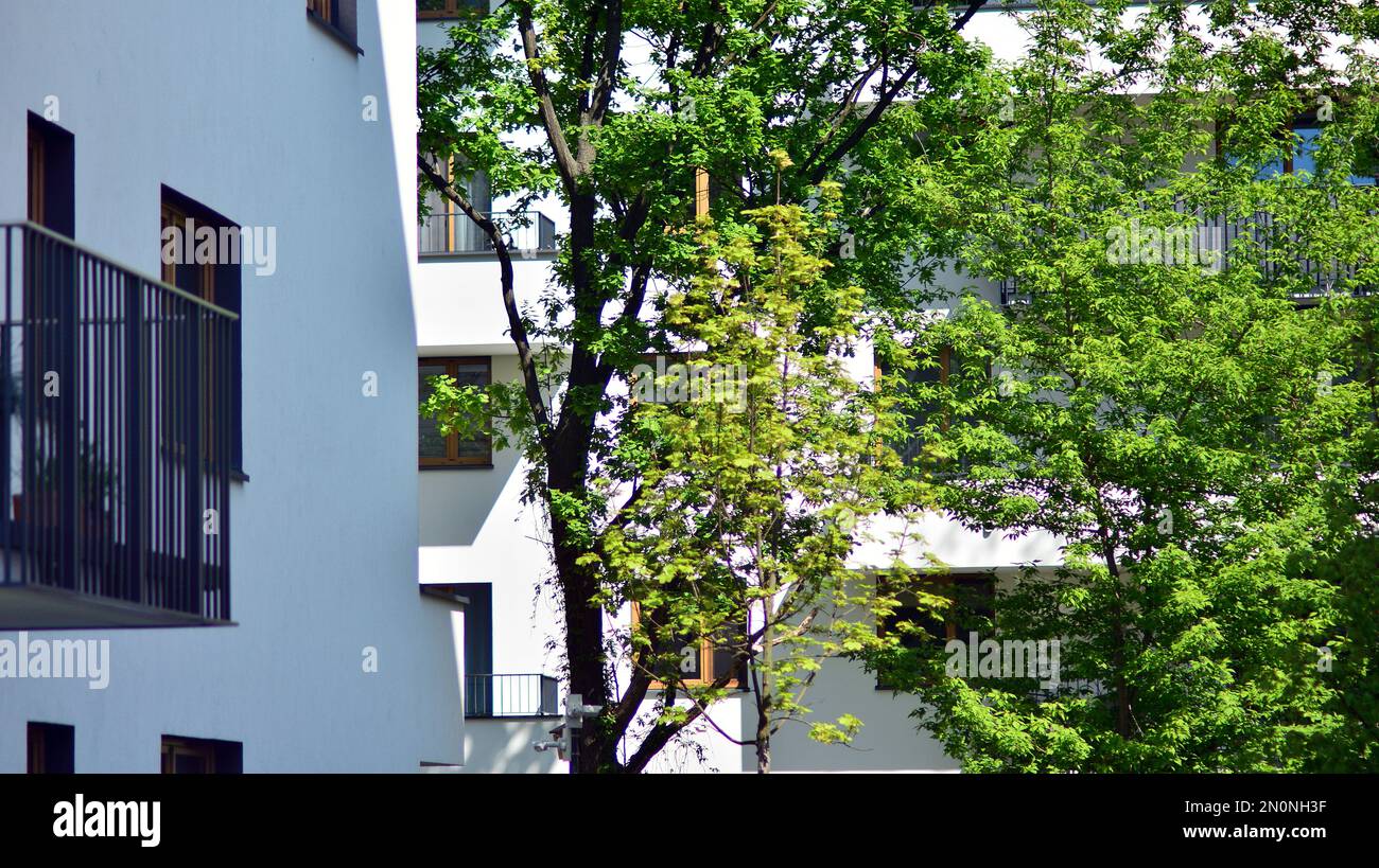 Flora - Modern Rooftop Apartment with Balcony - Airbnb
