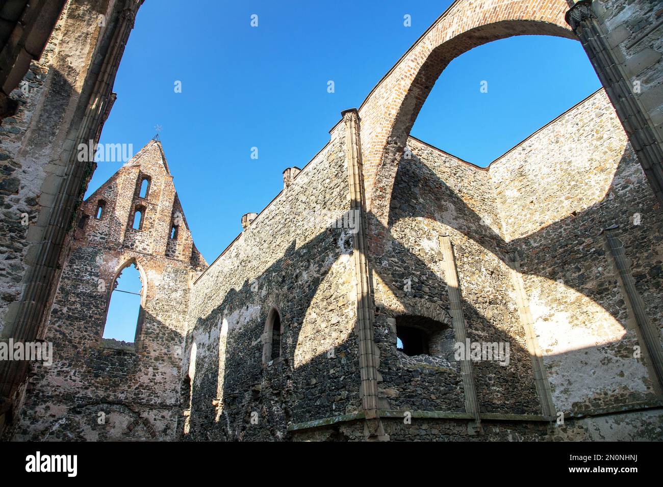 Rosa coeli, ruins of church and monastery, Dolni Kounice near Ivancice town, South Moravia, Czech Republic Stock Photo