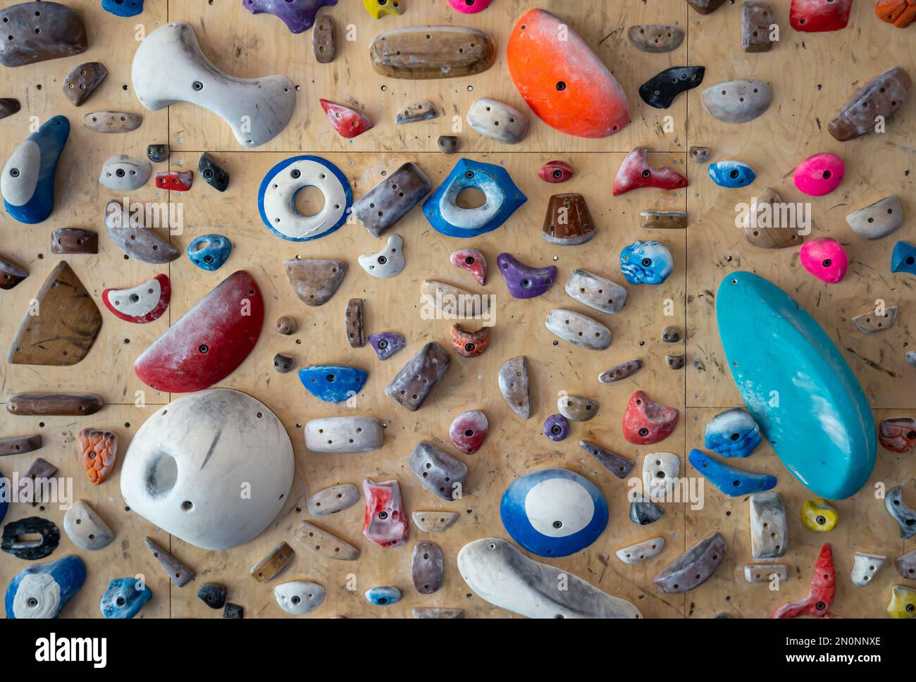 Close up of multiple climbing wall holds, grips and footholds of