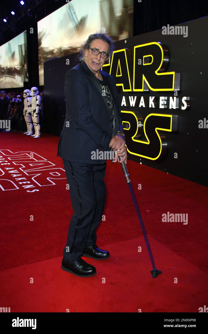 Peter Mayhew poses for photographers upon arrival at the European