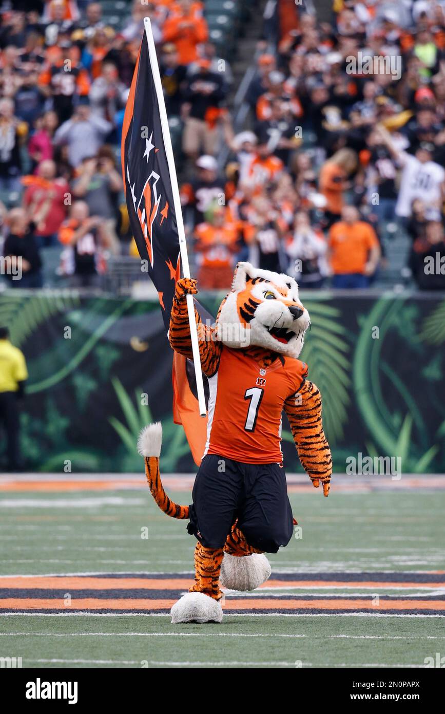 Cincinnati Bengals mascot Who-Dey takes the field before an NFL