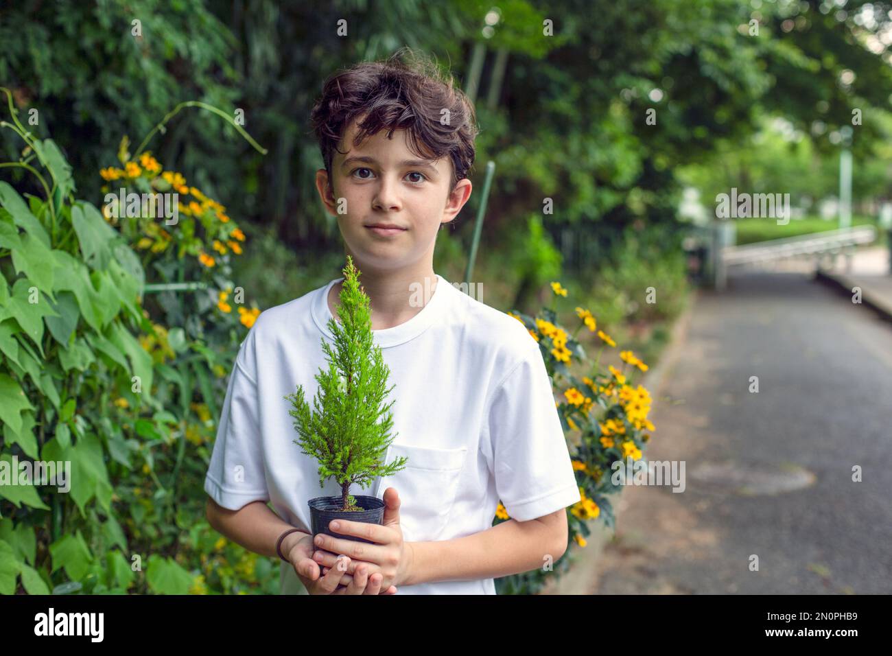 A boy holding a small tree sapling in a pot, standing in a garden. Stock Photo