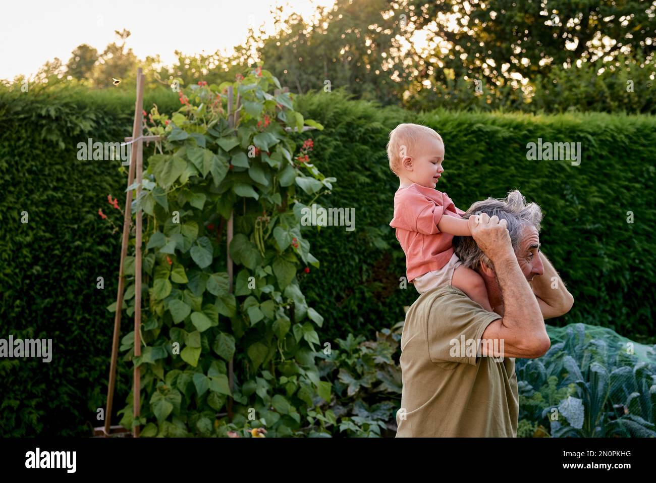 Grandfather carrying toddler on shoulders walking in garden Stock Photo