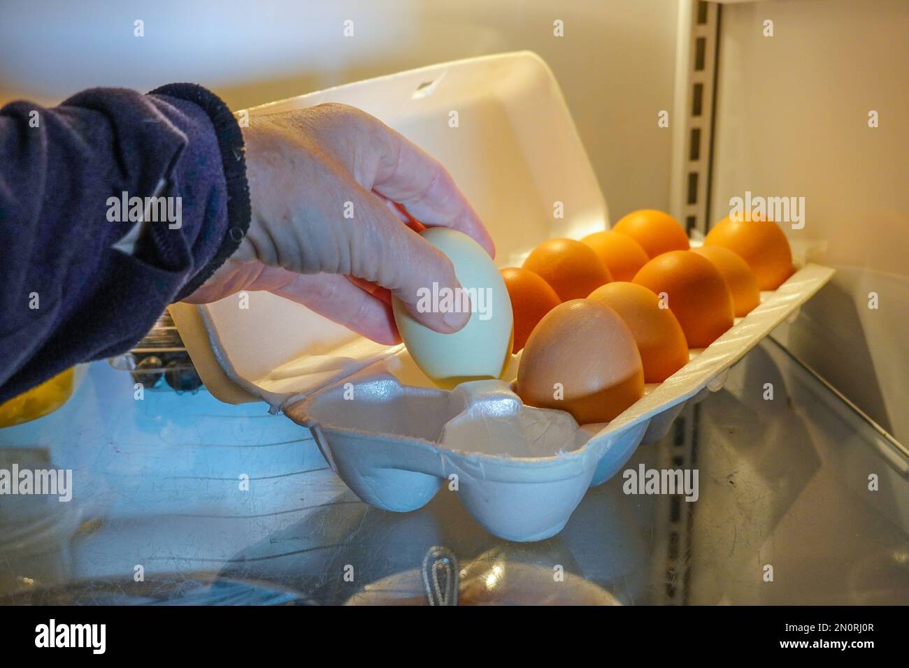 Woman taking egg from box of free range Fresh Chickens  eggs in a fridge Stock Photo