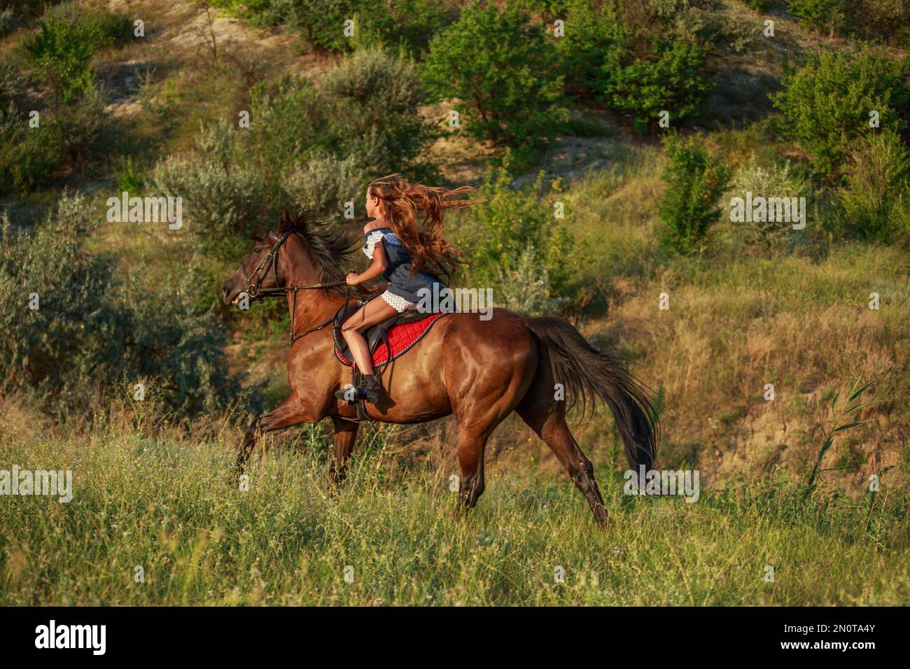Girl riding a horse in nature Stock Photo