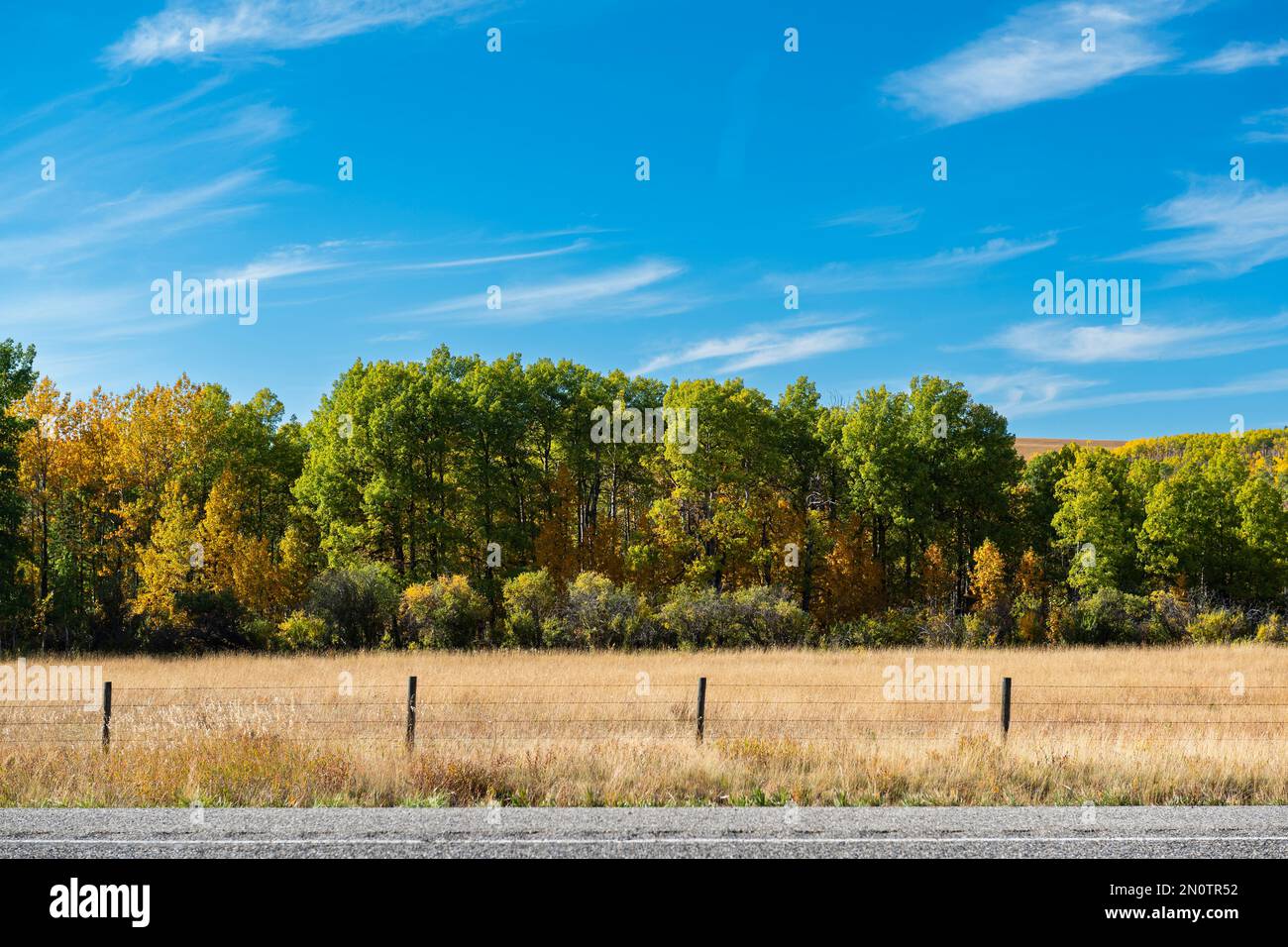 Farmland in the foothills of the Canadian Rocky Mountains in Alberta Canada in Autumn Stock Photo