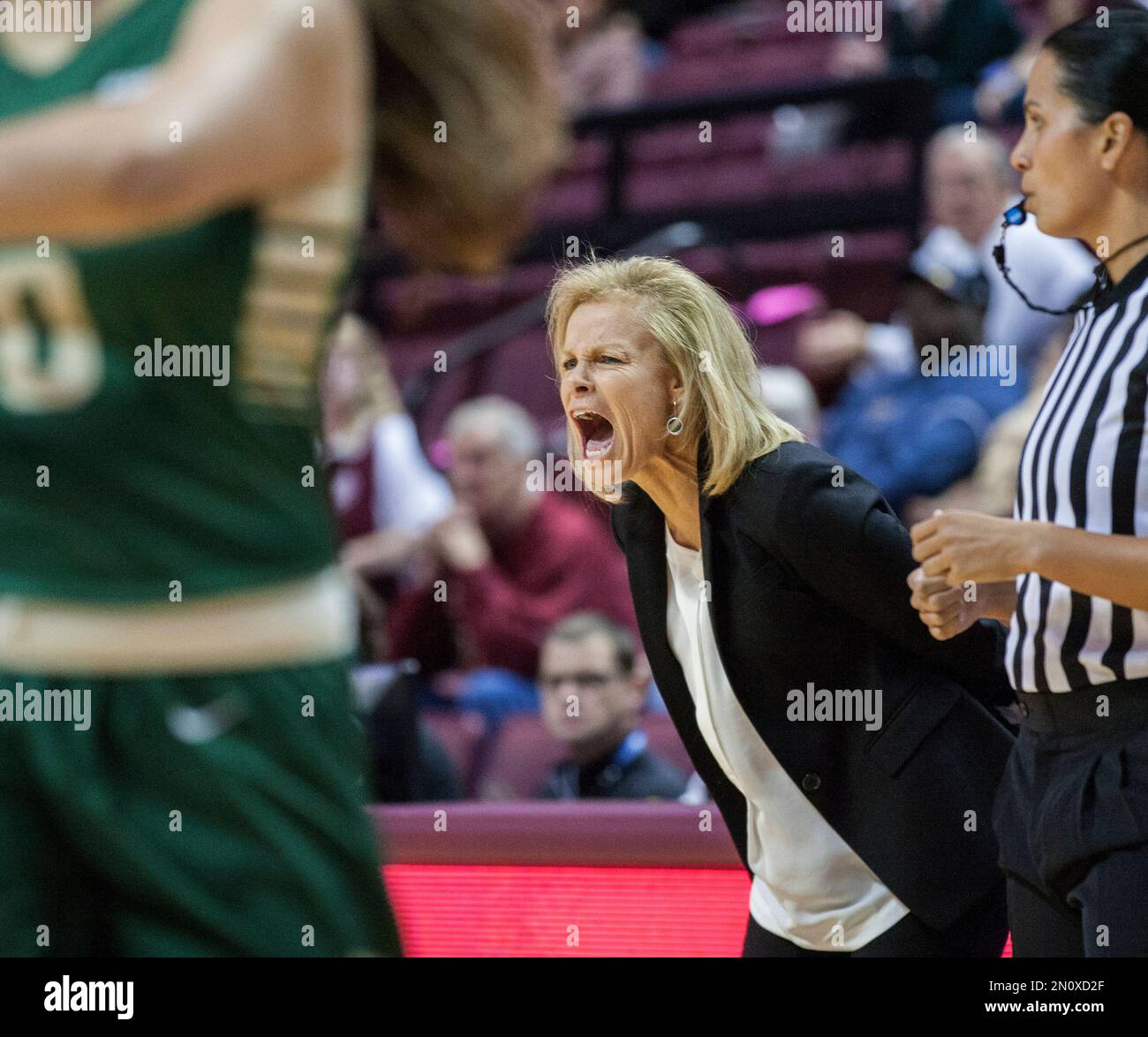 Florida State coach Sue Semrau shouts instructions to her team during ...