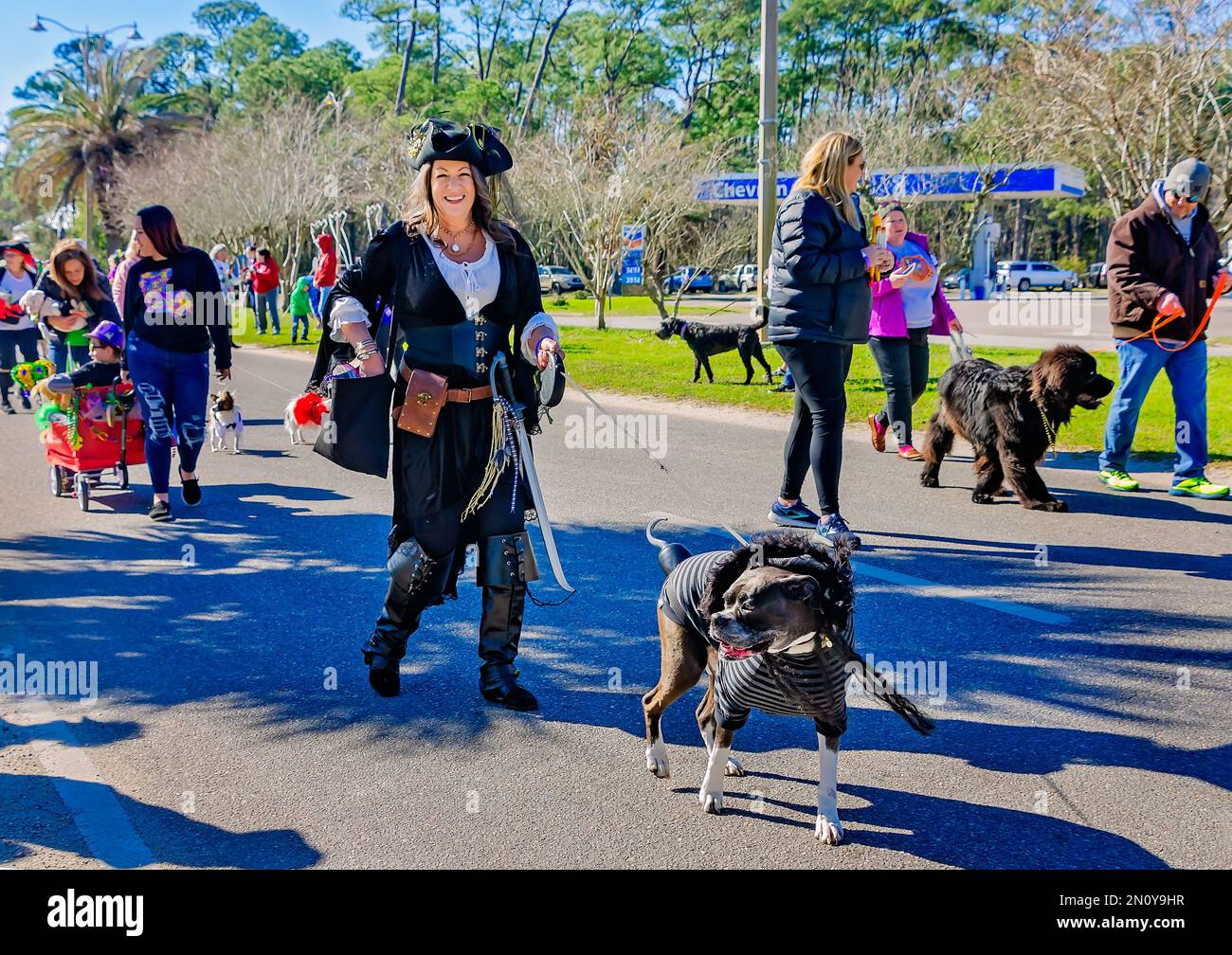 mardi gras dauphin island 2025
