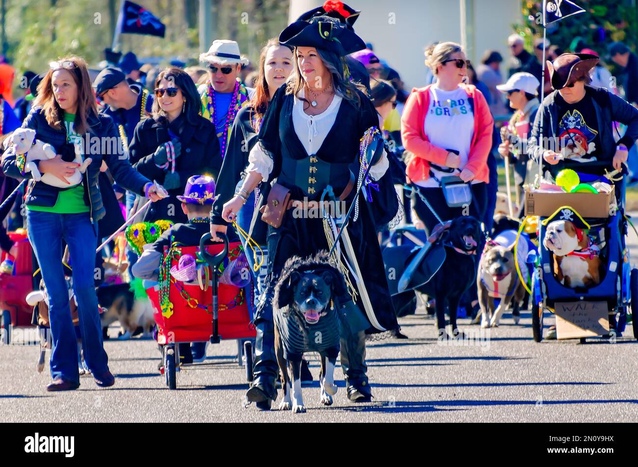 Pet owners and their dogs participate in the Mystic Krewe of Salty Paws
