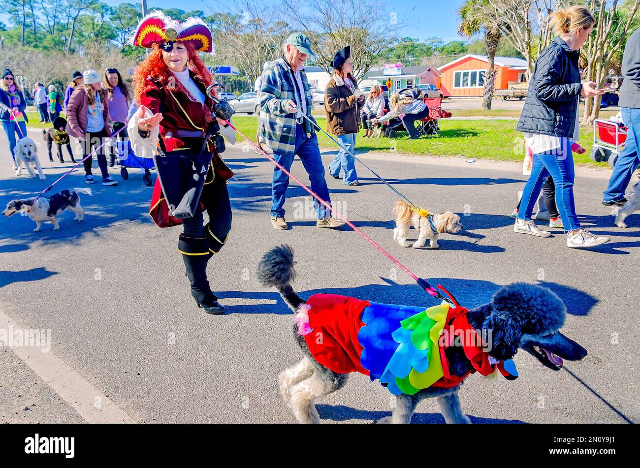 mardi gras parades dauphin island