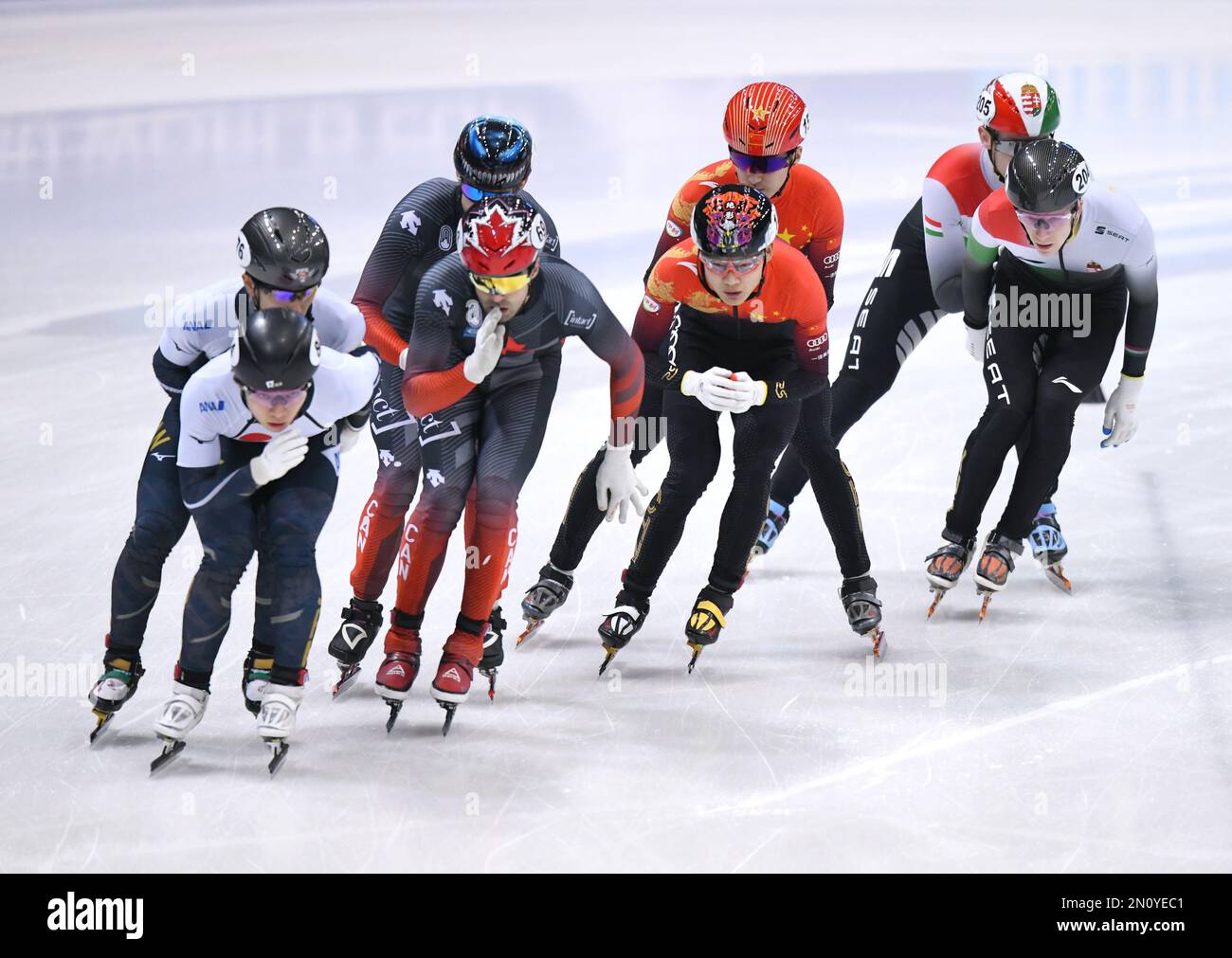 Dresden, Germany. 5th Feb, 2023. Zhong Yuchen (front, 2nd R) and Liu ...