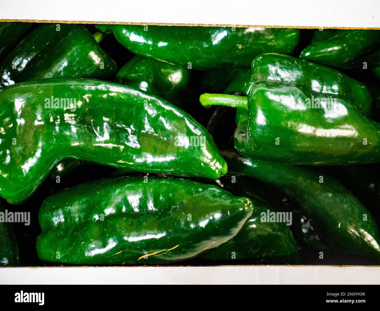 Vibrant green pepper spicy organic vegetable hot vegetarian Stock Photo