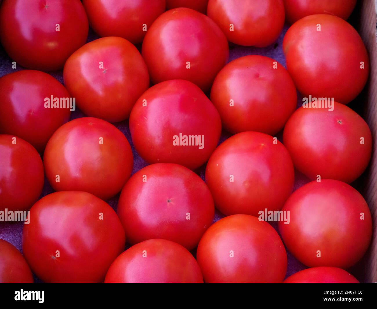 A group of bright red ripe organic fresh tomaotoes Stock Photo