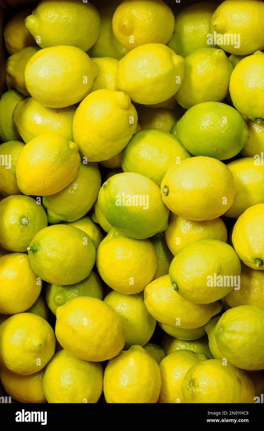 Bright yellow lemons with patches of green - organic - healthy ready for purchase Stock Photo