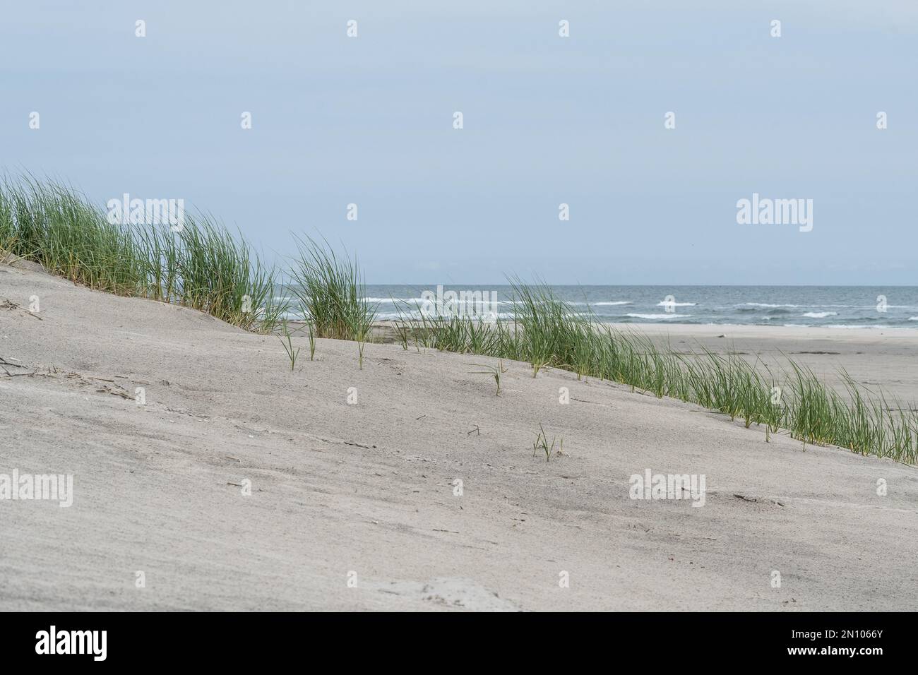 Family on dunes hires stock photography and images Alamy
