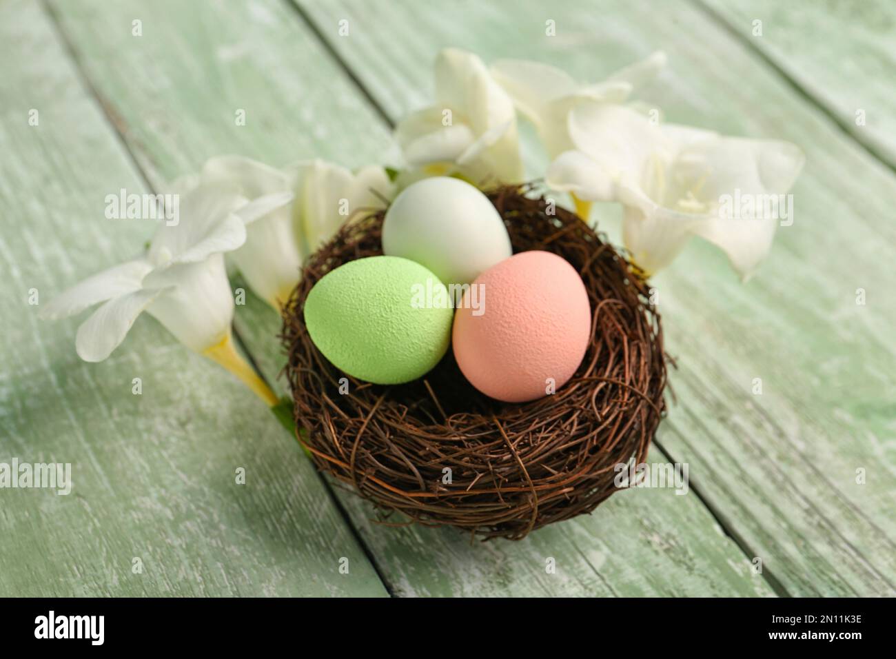 Nest with beautiful Easter eggs and freesia flowers on color wooden ...