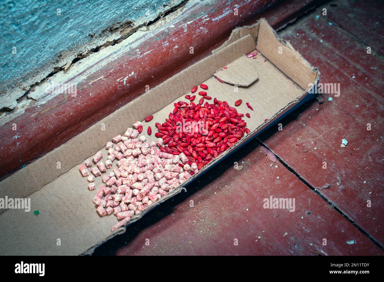 Two different poisons from rodent pests close-up on a cardboard backing. Red wheat and pink pellets of mouse poison. Fight against the invasion of rat Stock Photo