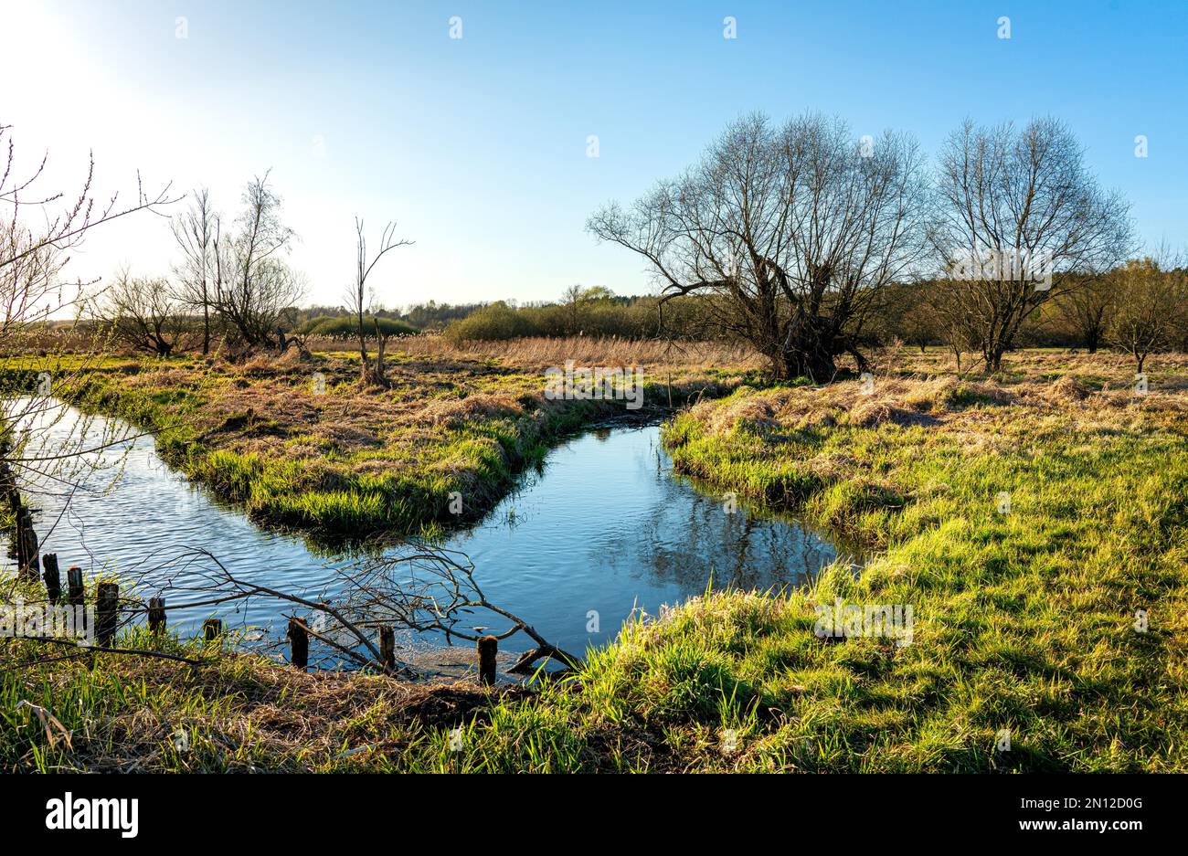  Landscape at the Tegeler Fließ in Lübars, Berlin, Germany, Europe Stock Illustration 