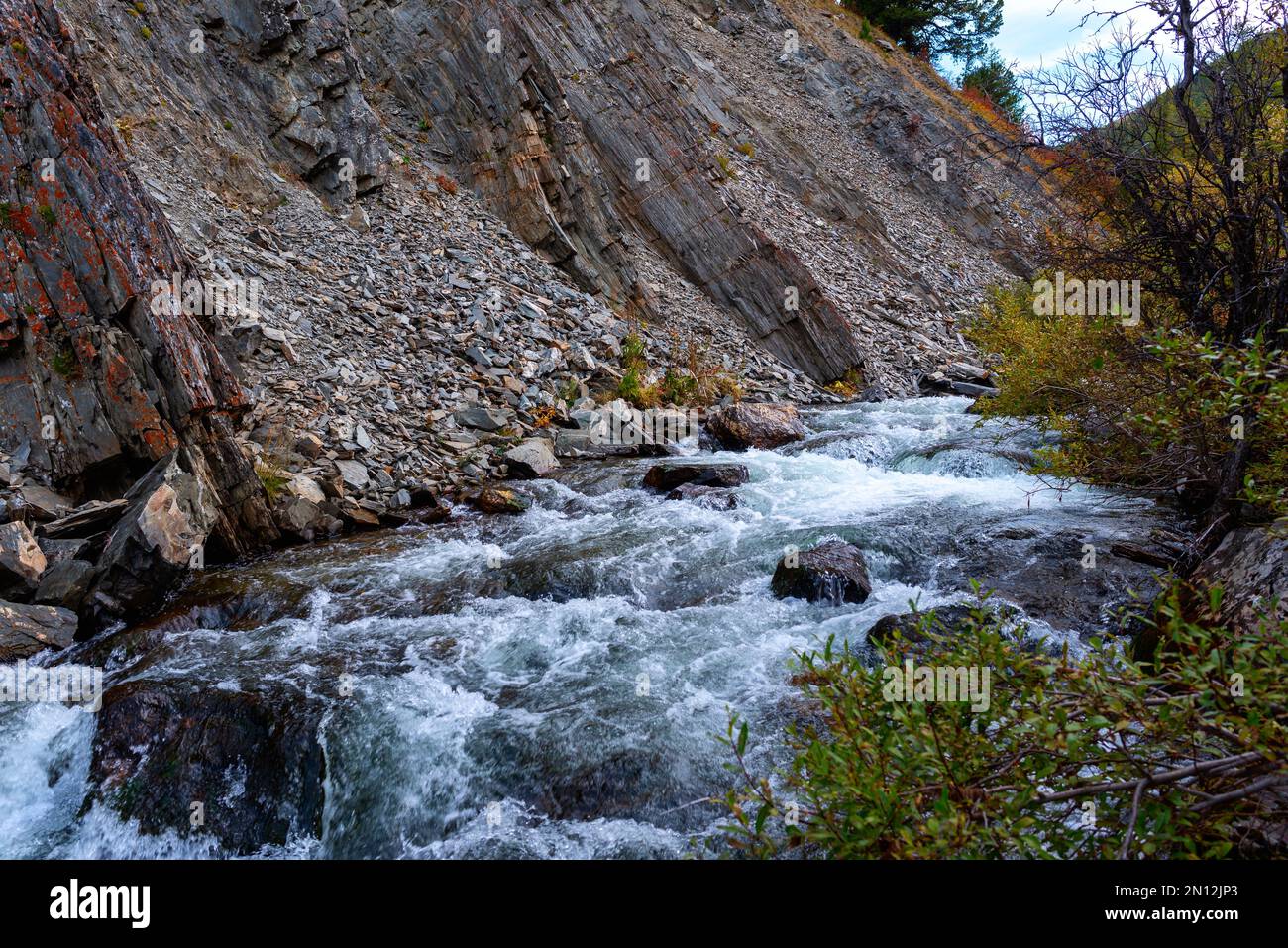 Mountain stream environment hi-res stock photography and images - Alamy