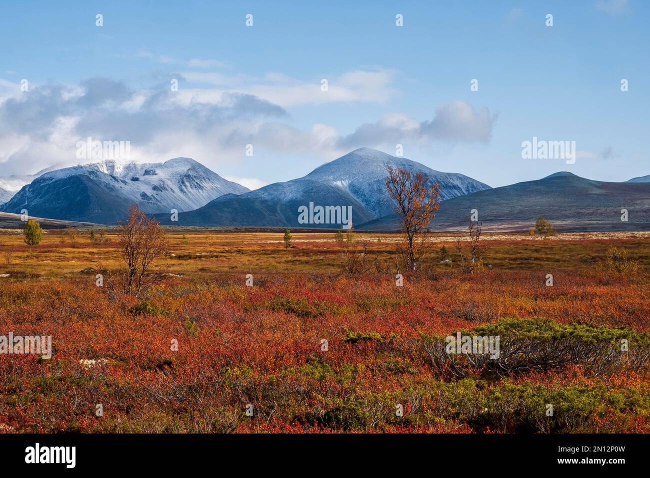 Autumn landscape, fells, Rondane National Park, Norway, Europe Stock ...