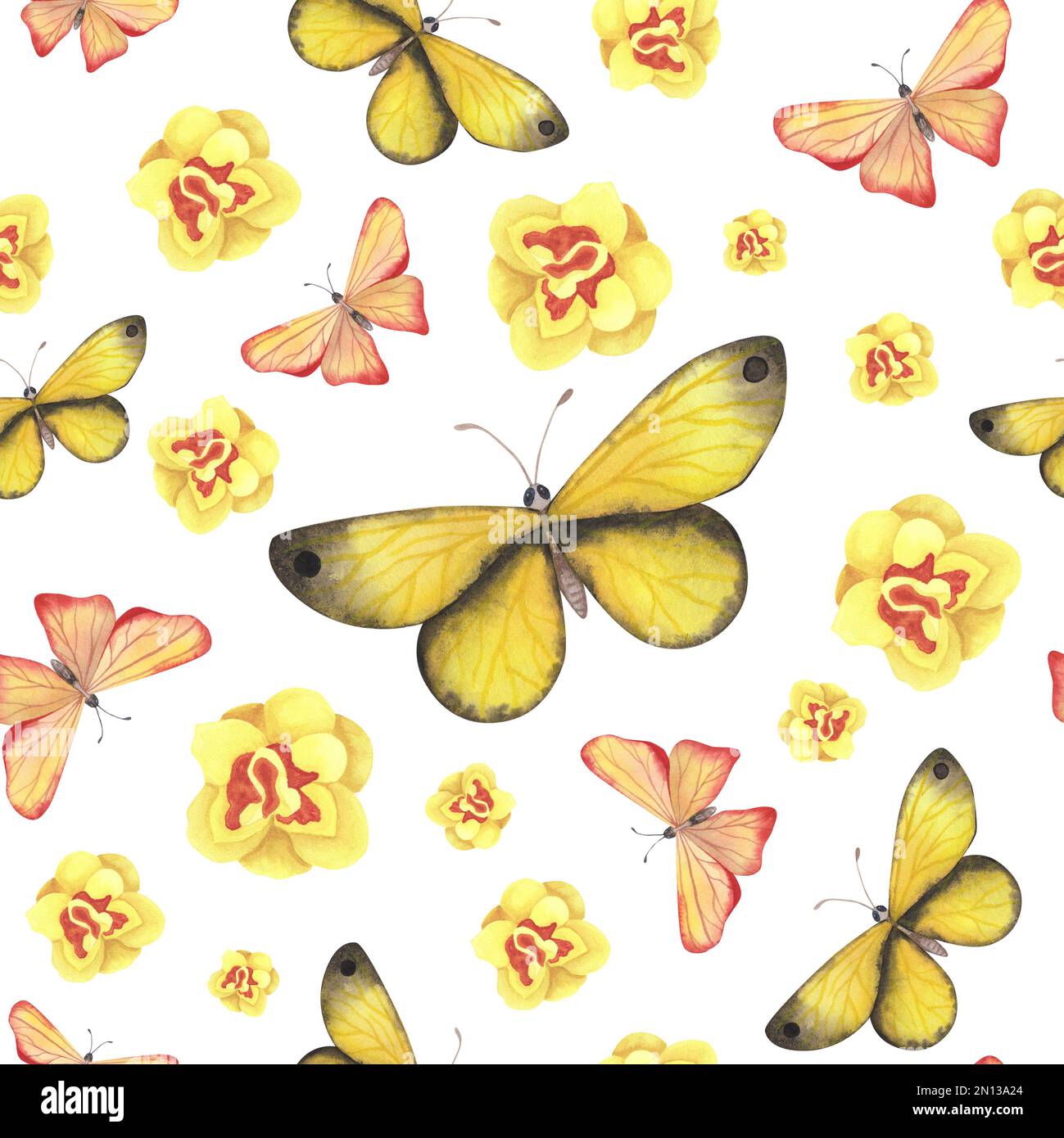 seamless pattern yellow butterfly with daffodils flowers isolated on ...