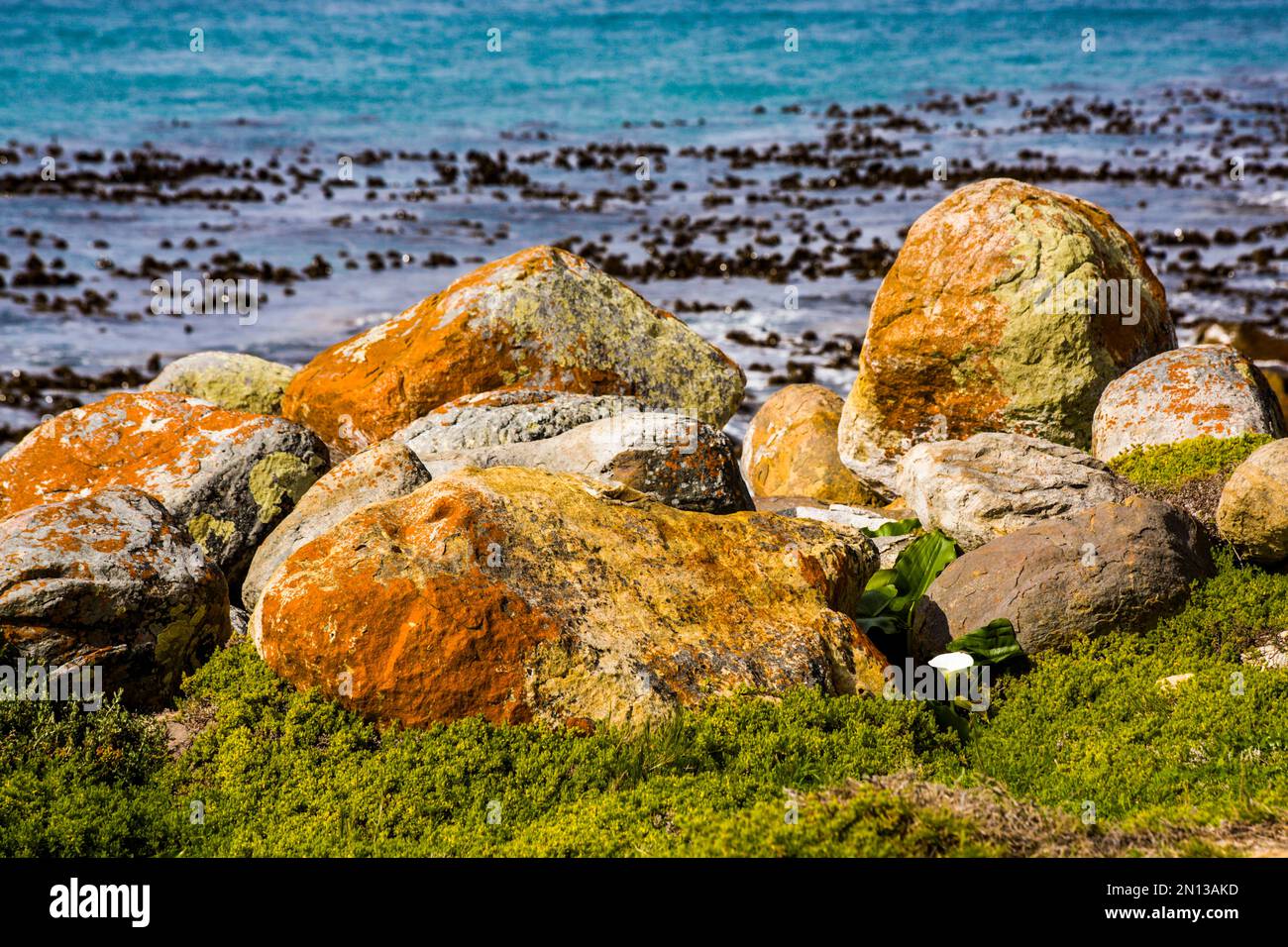 Landscape, Cape Point, Cape Peninsula, Cape Town, Western Cape, South Africa, Africa Stock Photo