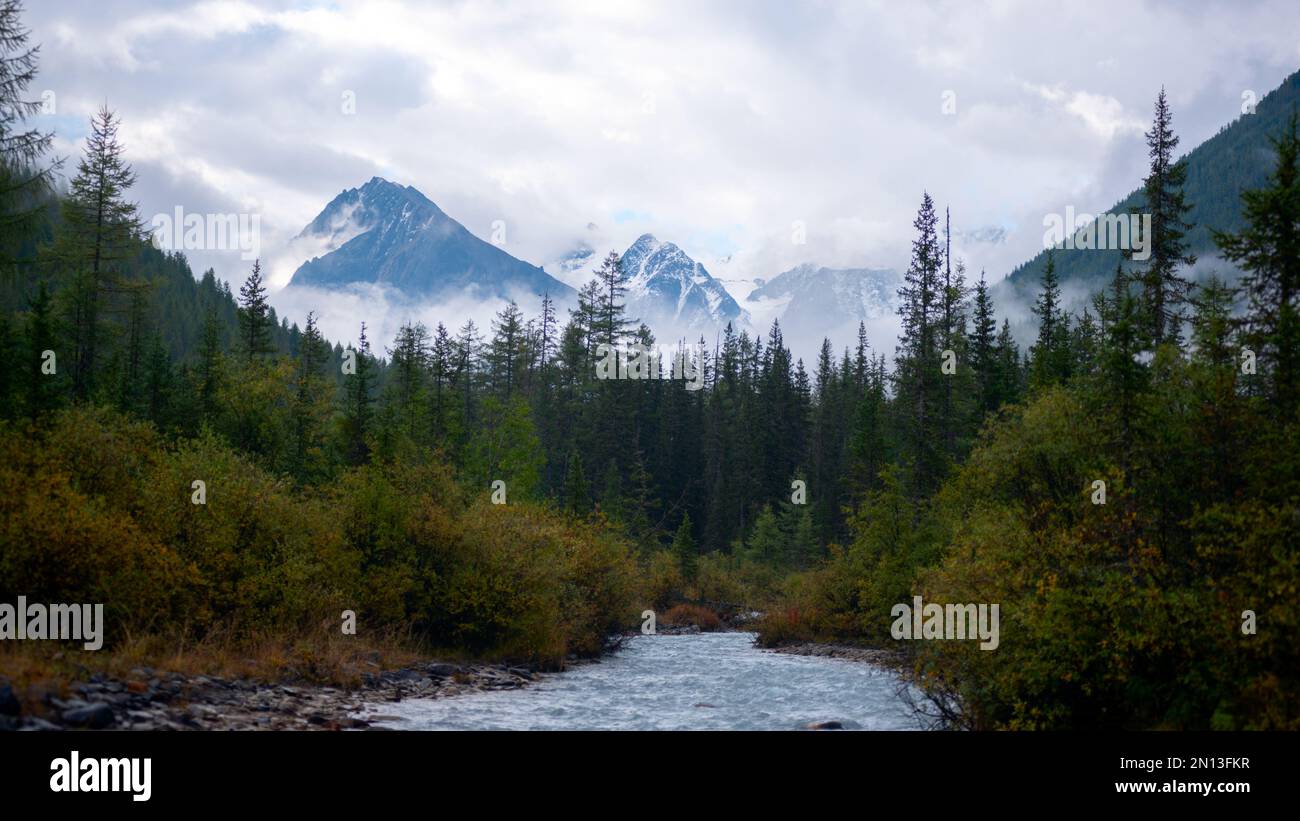 Morning mist over the spruce forests in the mountains and the river envelops the top of the cliff with glaciers in the clouds in the Altai. Stock Photo