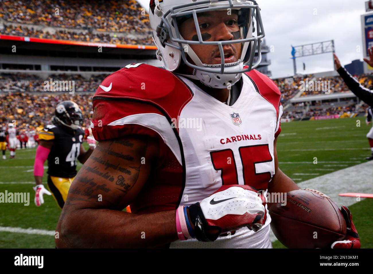 Pittsburgh Steelers wide receiver David Nelson (15) comes down out of bounds with pass in the