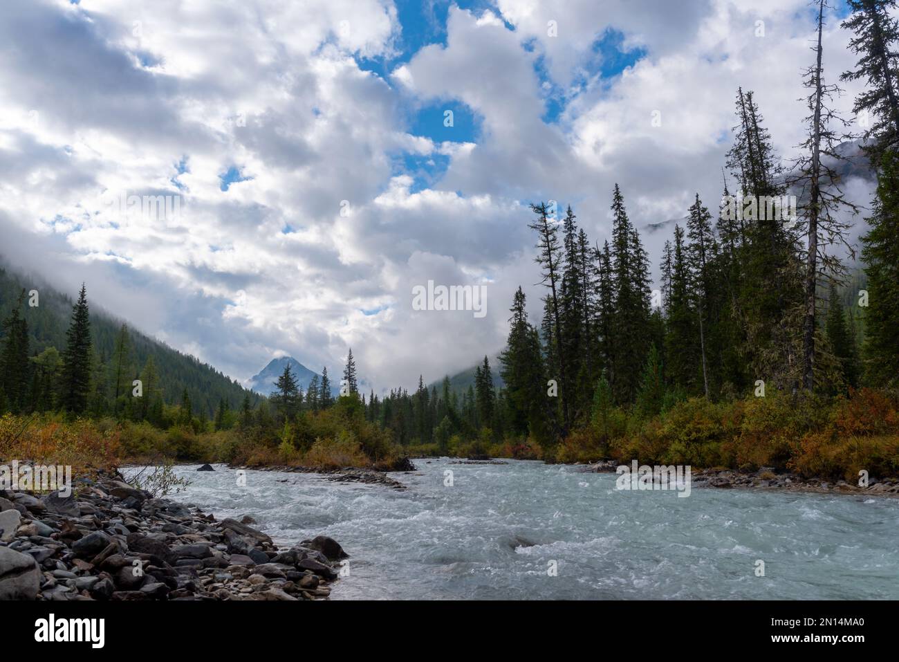 Fog over the spruce forest in the mountains and the alpine river Shavla envelops the tops of rocks with glaciers and snow in the clouds since morning Stock Photo