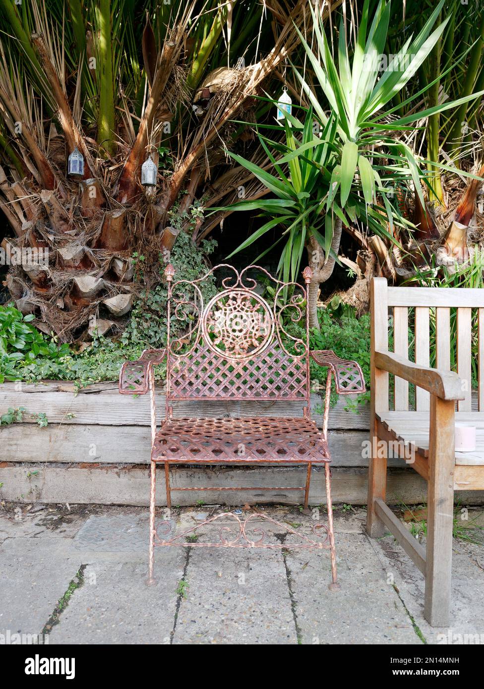 Quaint little chair beside a bench with palms behind beside the Regents ...