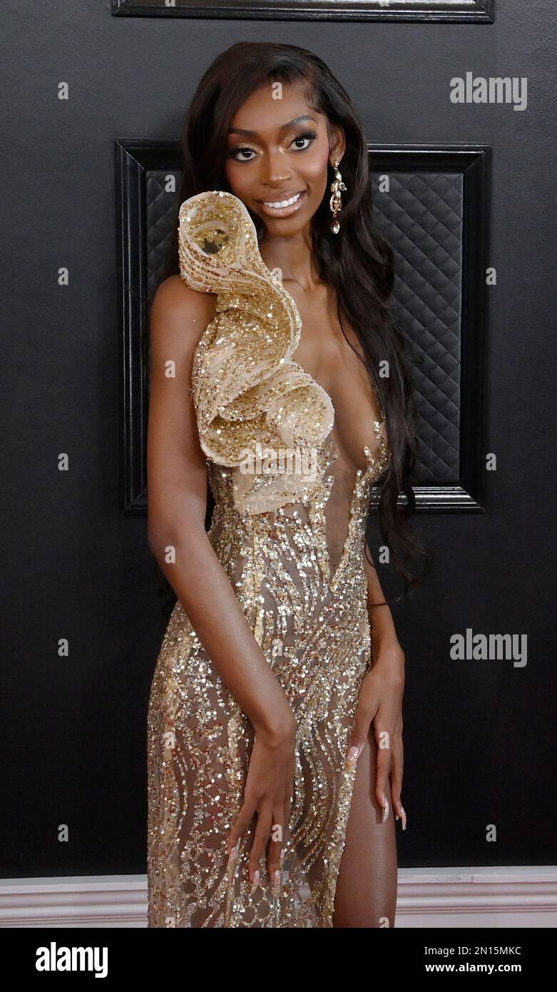 Los Angeles, United States. 05th Feb, 2023. Kayla Nicole attends the