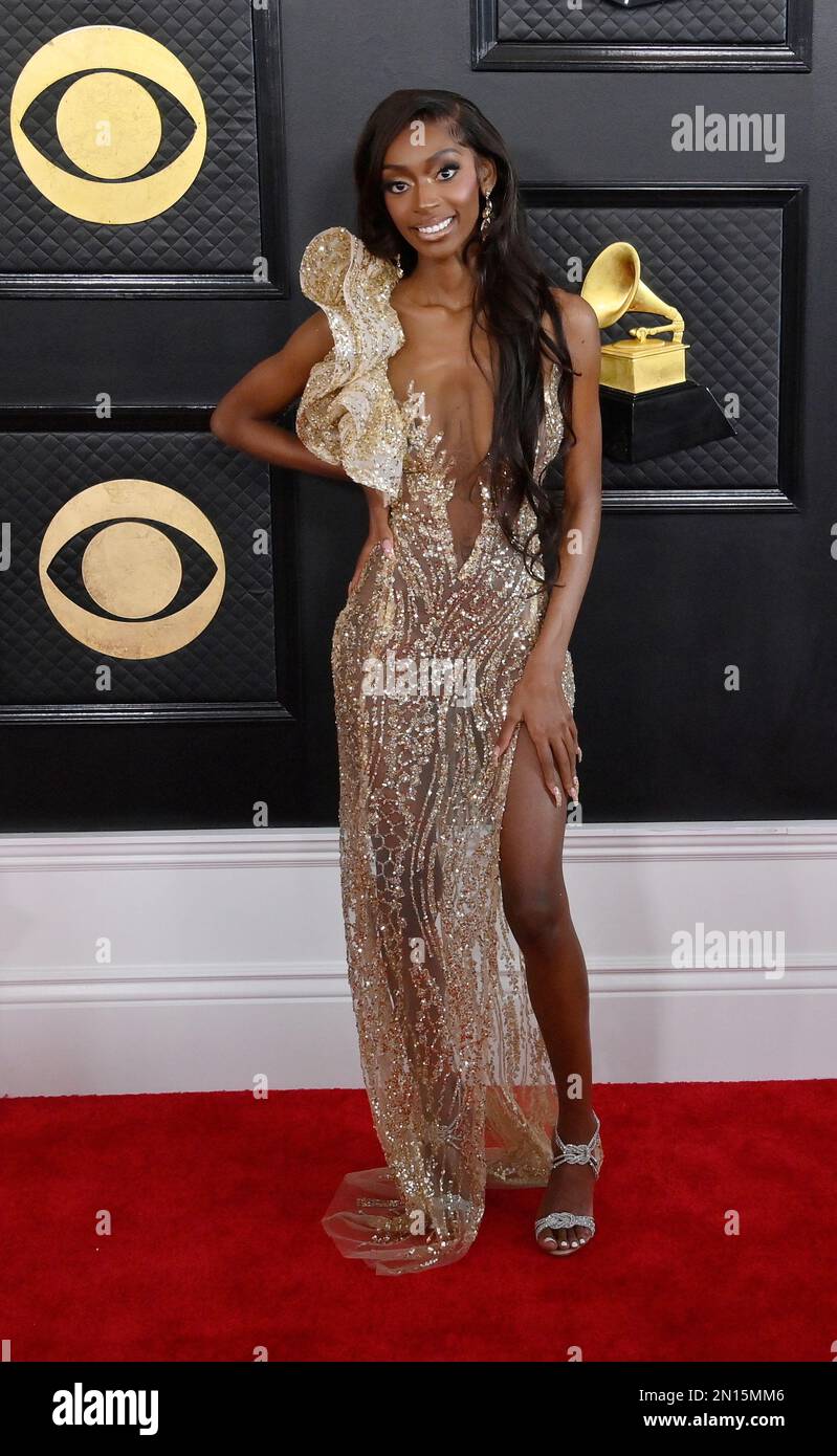 Los Angeles, United States. 05th Feb, 2023. Kayla Nicole attends the