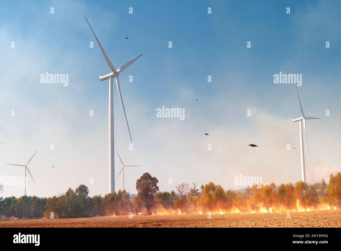 Electric wind turbines and forest fires from dry nature Or caused by human and air pollution Stock Photo