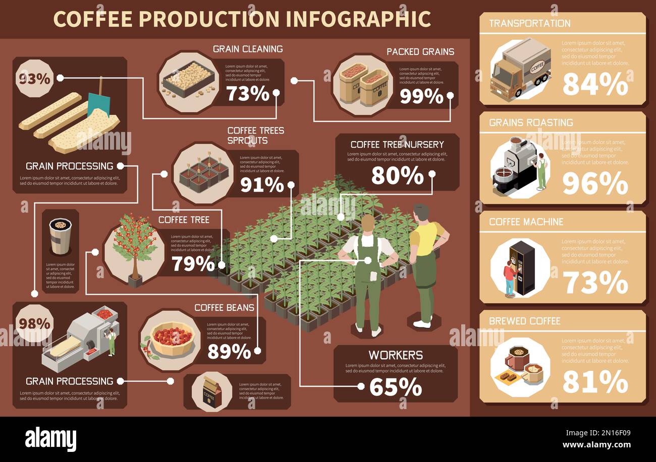 Coffee production industry isometric infographics depicting coffee tree