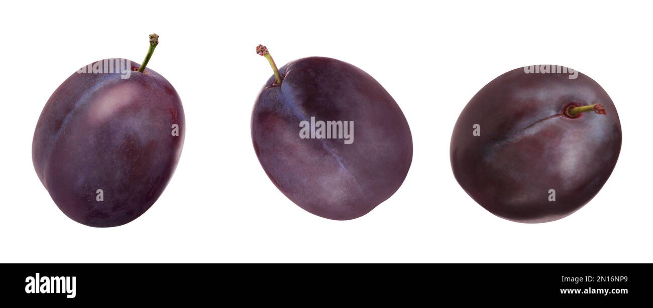 Set of fresh ripe plums on white background. Banner design Stock Photo